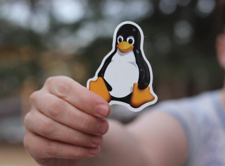 a person holding black and yellow penguin sticker