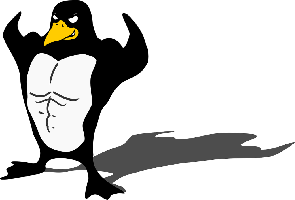 penguin, bodybuilder, linux, muscle, tux, nature, animal, funny
