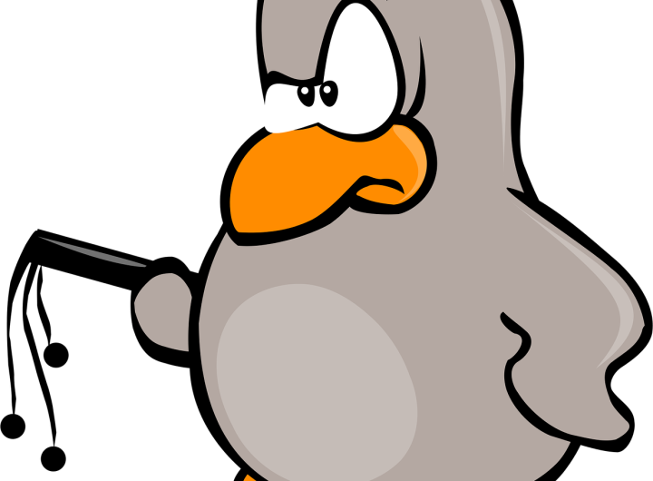 penguin, linux, bird, manager, nature, work, whip, management